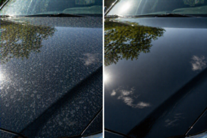 Water Spot Removal